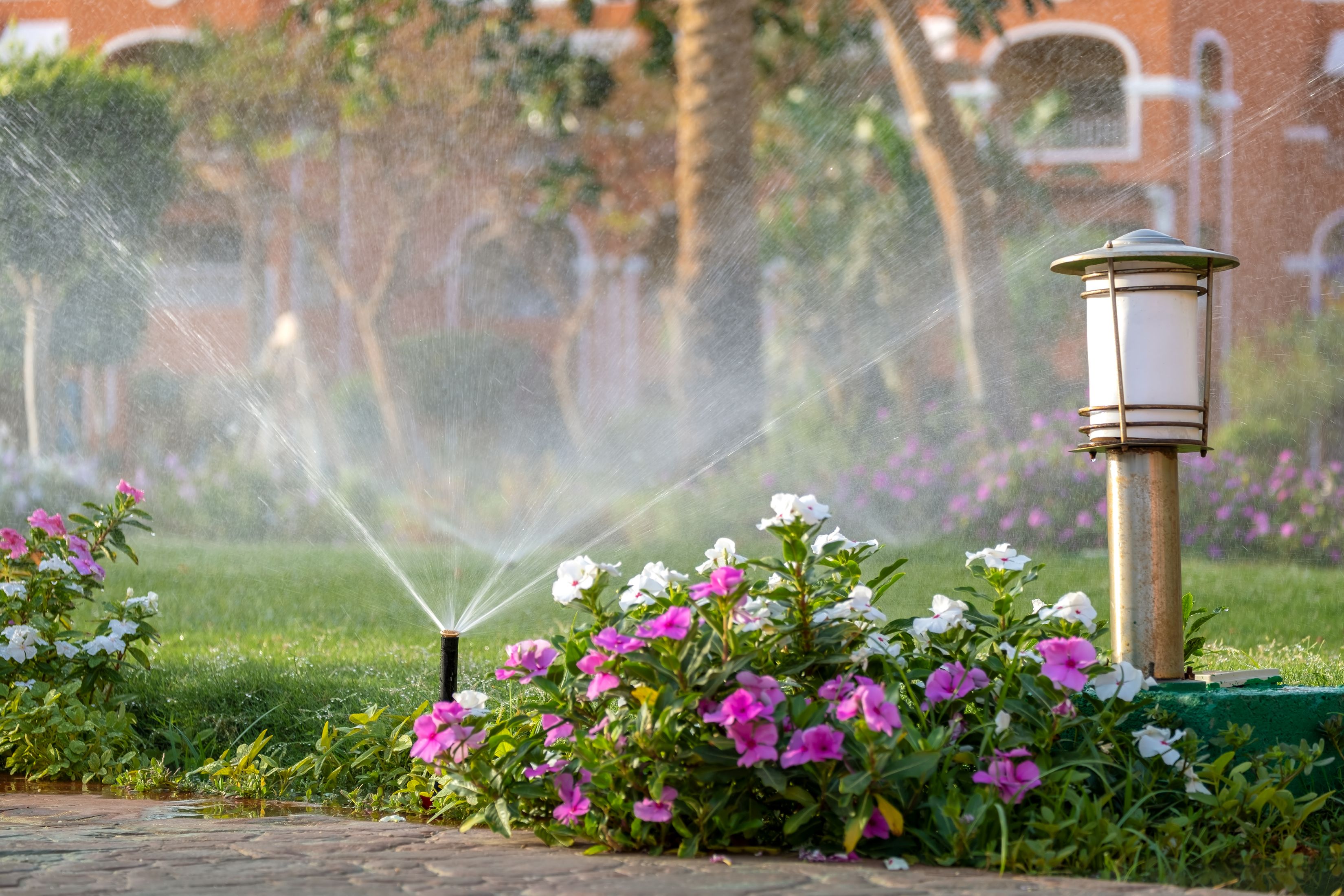 landscaping