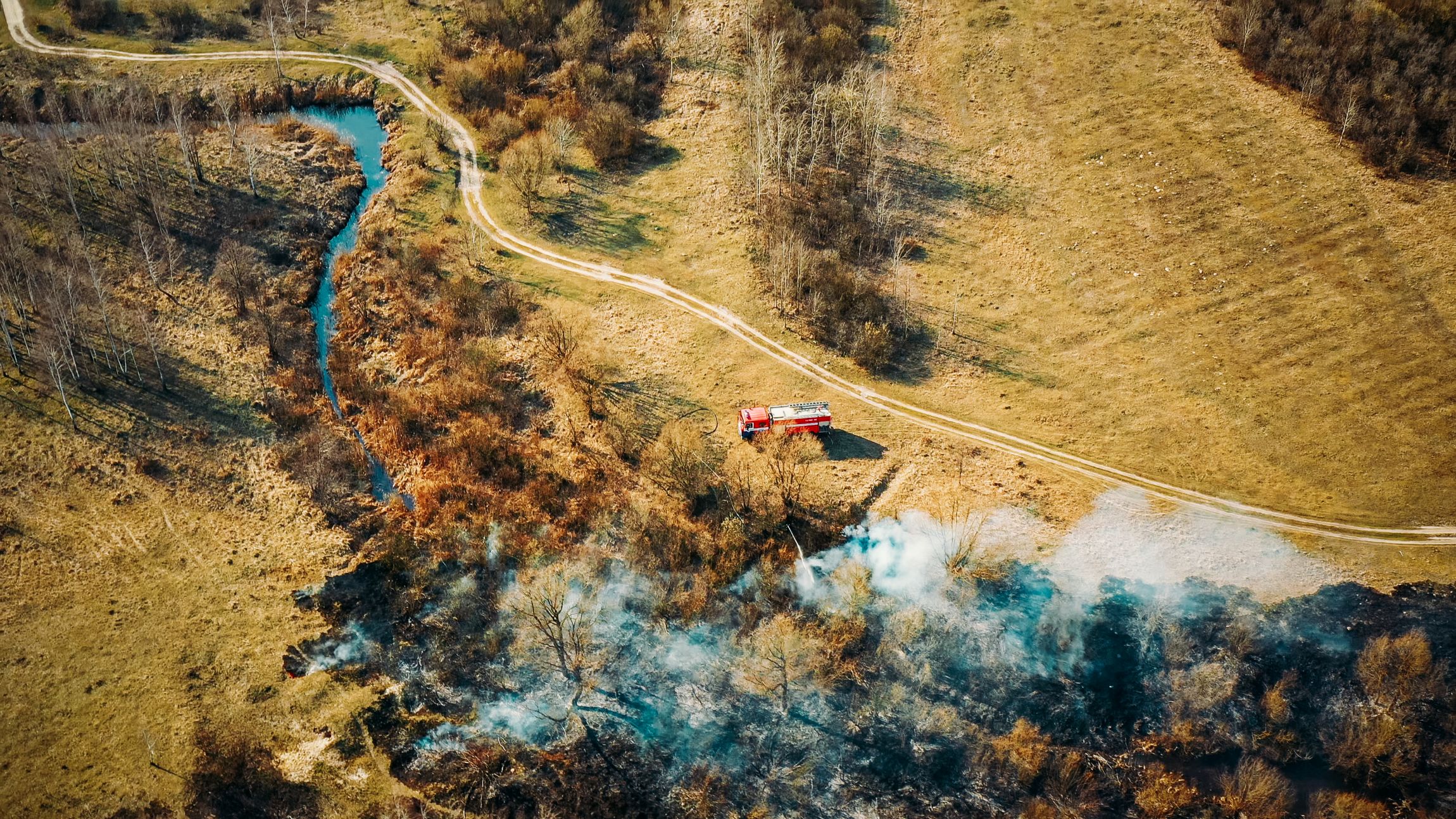 wildfire