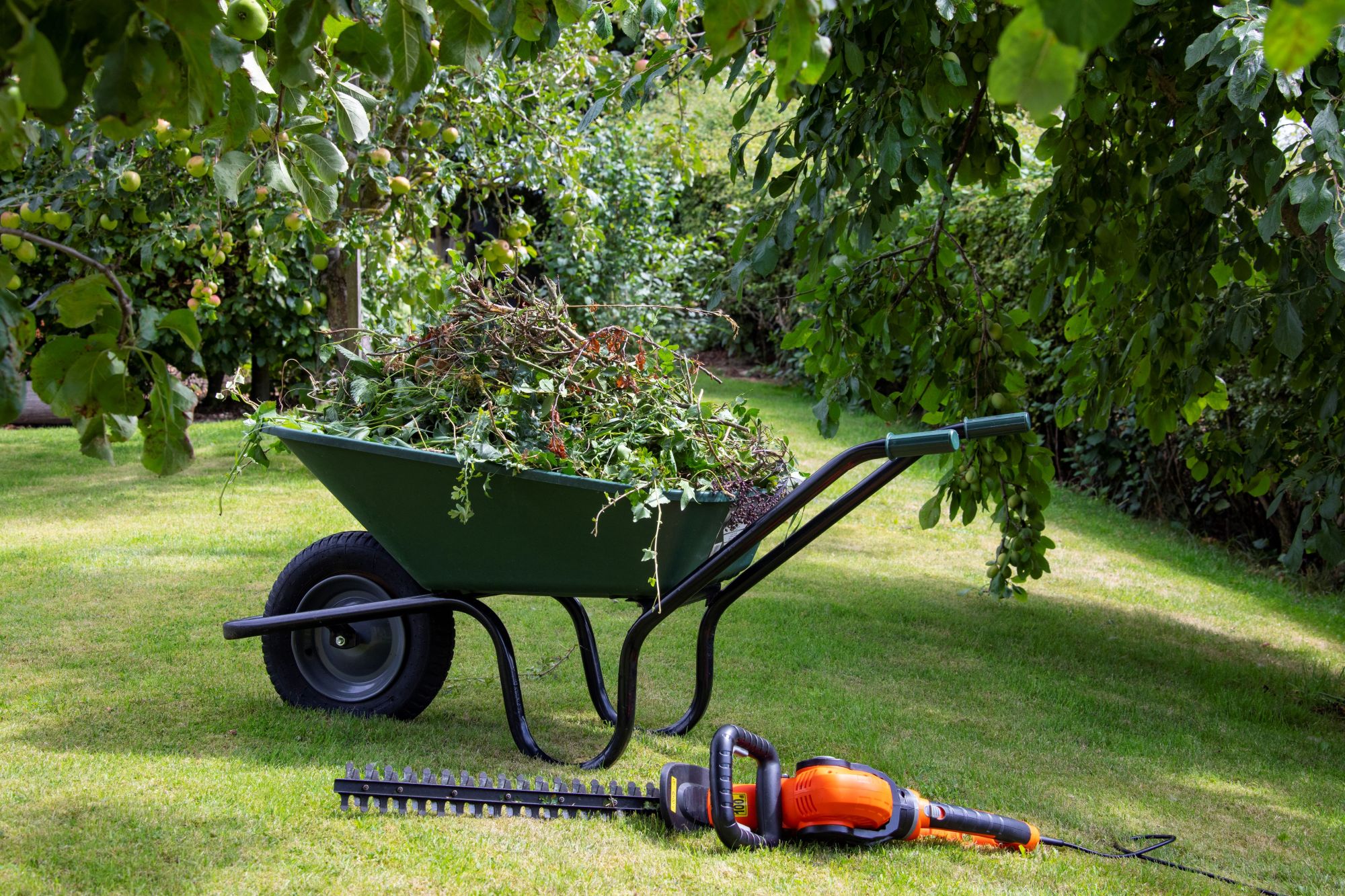 landscaping